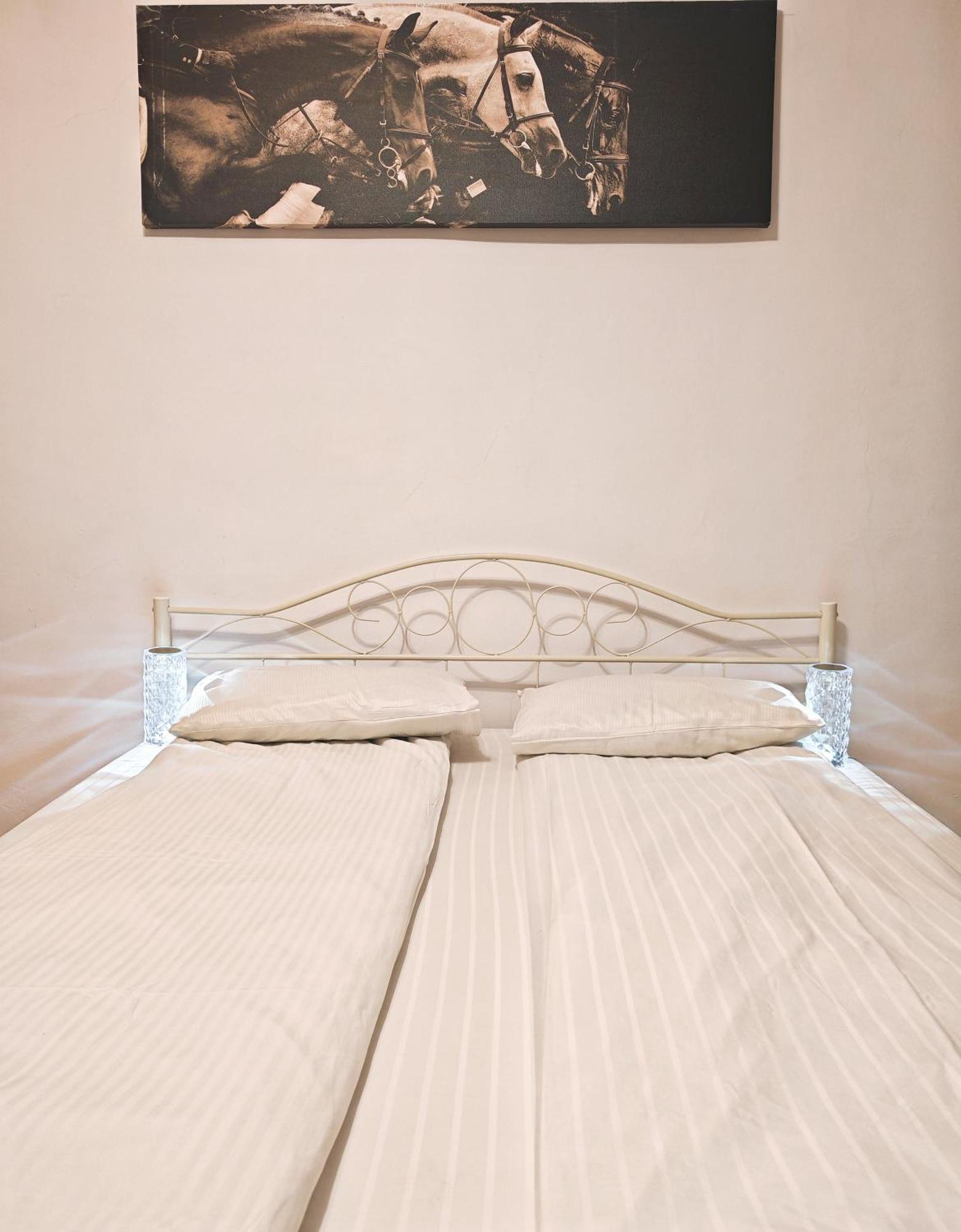 Casa Boemia Apartment Brasov Bagian luar foto